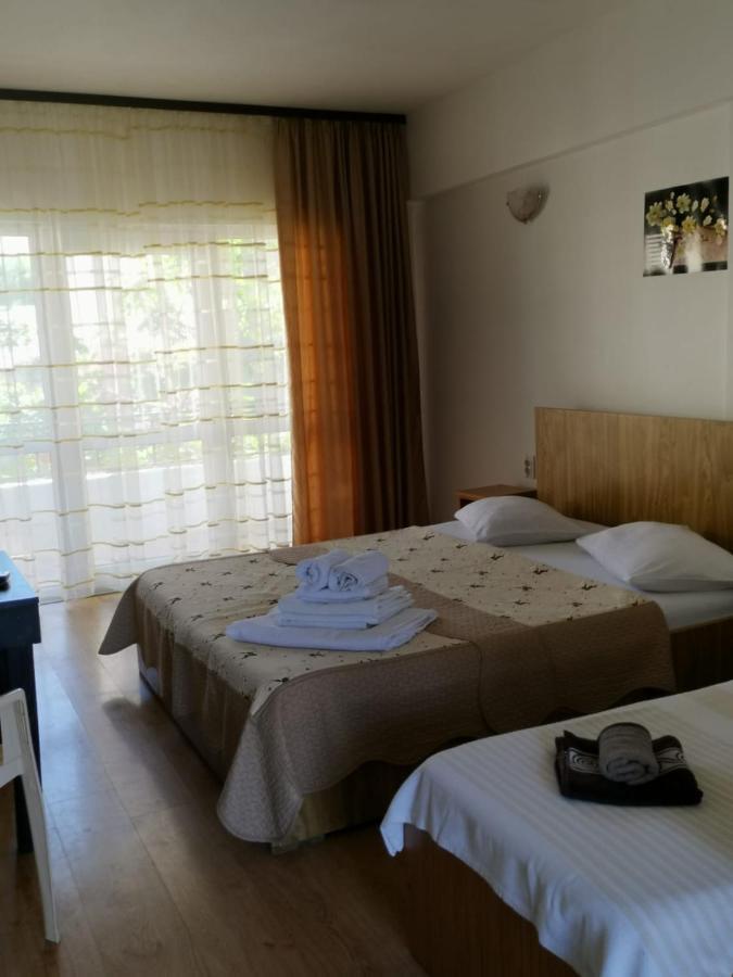 קוסטינסטי Vila Alphecca מראה חיצוני תמונה